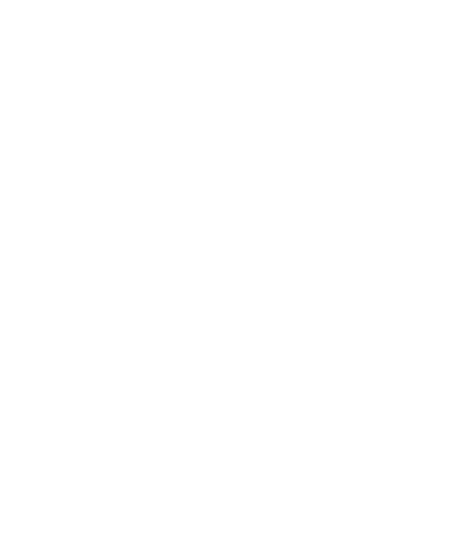 +33 Paris Logo